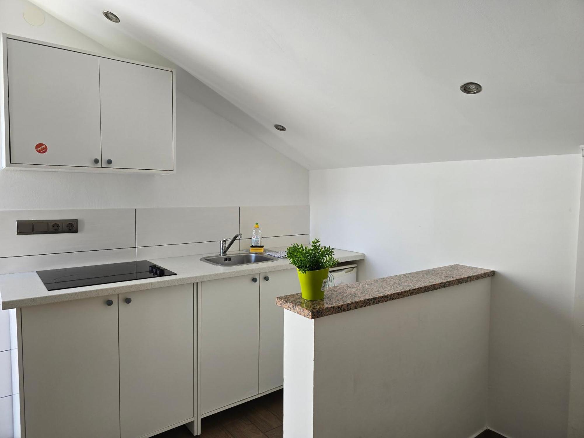 Apartment Mandza *
